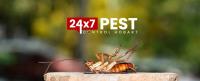 247 Cockroach Pest Control Hobart image 5